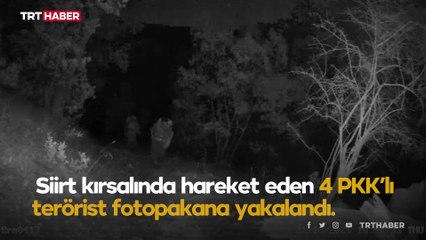 Fotokapana yakalanan teröristleri SİHA vurdu
