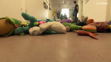 Max és Lizzy: két kutyazseni egy izgalmas magyar kutatásban