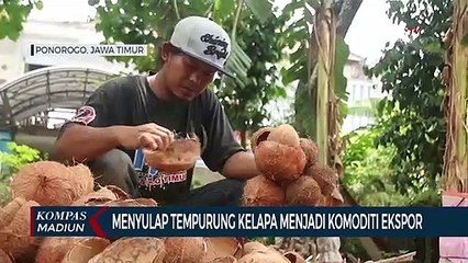 Menyulap Tempurung Kelapa Menjadi Komoditi Ekspor