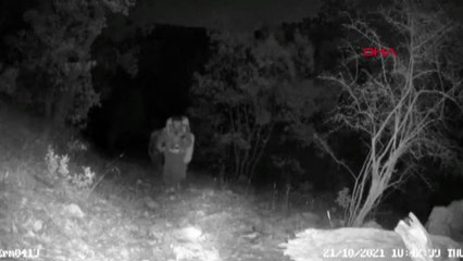 Siirt'te etkisiz hale getirilen 4 PKK'lı fotokapanla tespit edilmiş