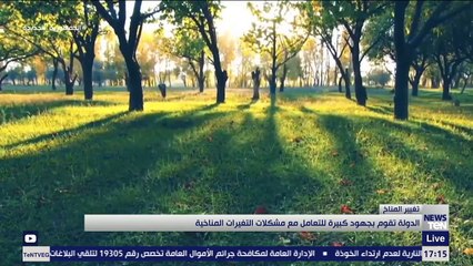 TeN | نشرة أخبار الخامسة مساءًا – الاثنين    1  نوفمبر  2021