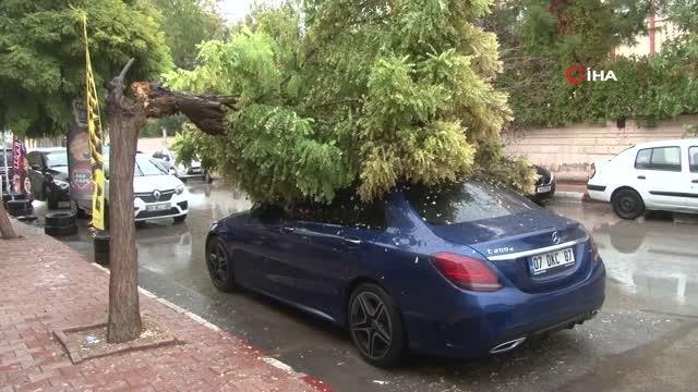 Belediyeye görüşmeye gitti, geri döndüğünde lüks aracını ağacın altında buldu