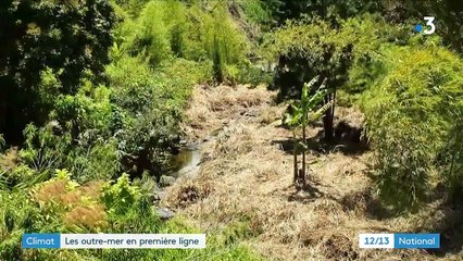 Environnement : les territoires d'outre-mer vulnérables face au changement climatique