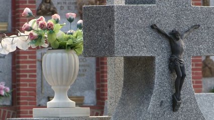 Las flores vuelven a llenar los cementerios y en La Palma caen del cielo
