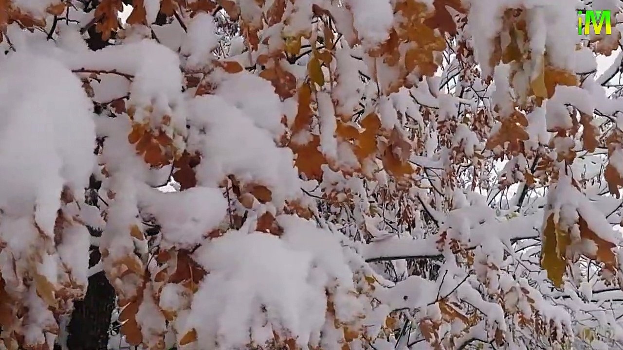 New Relaxing Video I Guided Meditation lSleeping Video I ASMR I I Memory