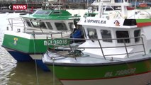 Pêche : bras de fer entre la France et la Grande-Bretagne