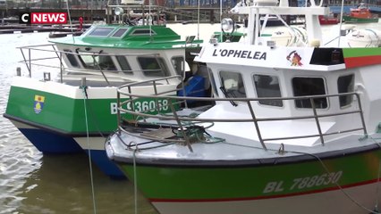 Pêche : bras de fer entre la France et la Grande-Bretagne
