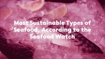Most Sustainable Types of Seafood, According to the Seafood Watch
