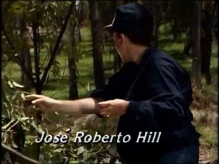 Rosa Salvaje - Capítulo 171  Dormidos juntos