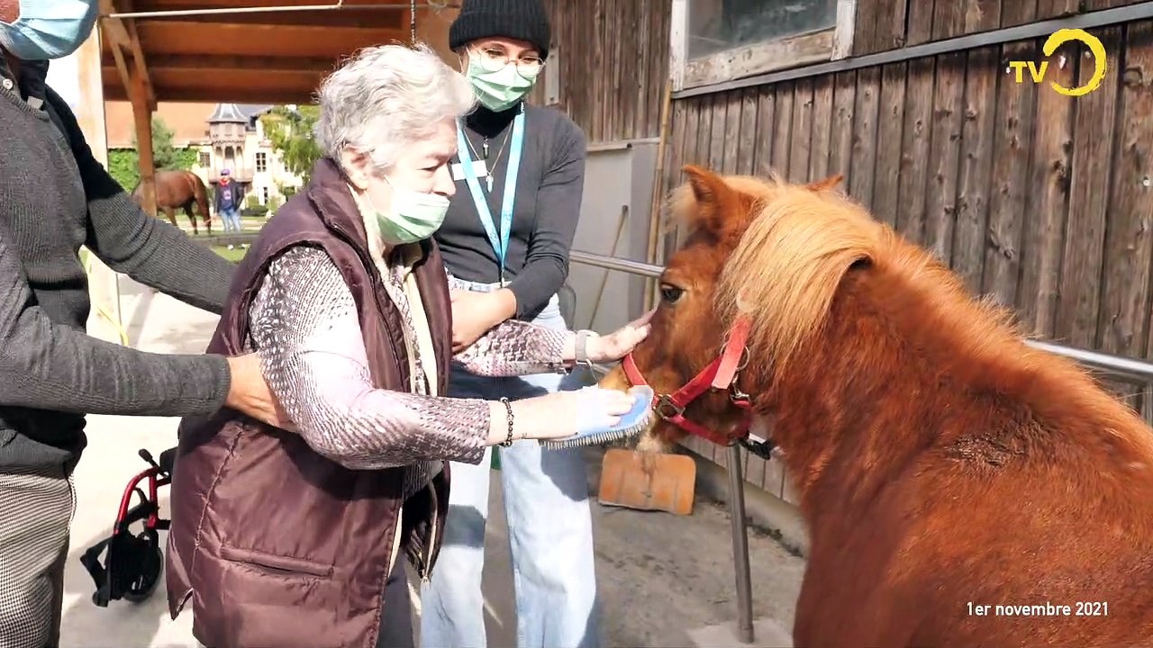 Sujet: des poney à la rencontre des résidents de Butini