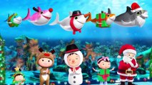 Baby Shark Dance | Christmas Edition | Baby Songs |  More Nursery Rhymes | Little Baby Bum