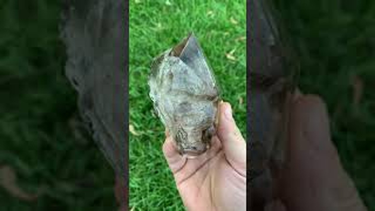 Incredible Enhydro Herkimer Diamond Unearthed
