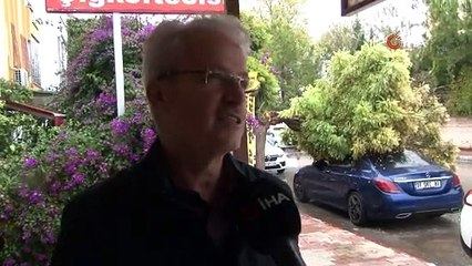 Belediyeye görüşmeye gitti, geri döndüğünde lüks aracını ağacın altında buldu