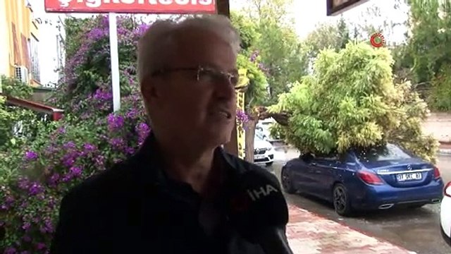 Belediyeye görüşmeye gitti, geri döndüğünde lüks aracını ağacın altında buldu