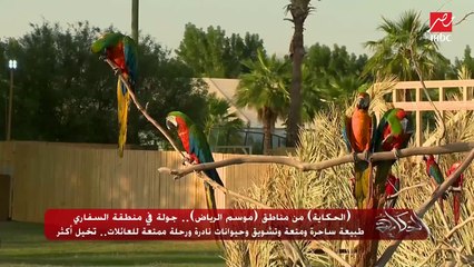 محمد حكيم مؤسس عالم ريو: نعمل على أن تكون الرحلة ممتعة للعائلات وأن تكون الحيوانات لطيفة مع الزائرين (شاهد ماذا فعل الطائر؟)