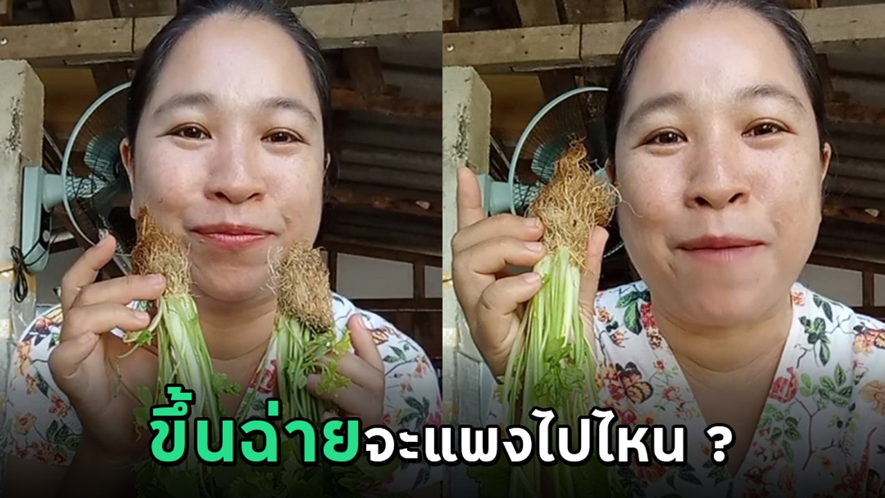 แม่ค้ายำระบาย ! เจอราคาขึ้นฉ่ายสะดุ้งโหยง บอกขายจาน 50 บาท ขาดทุนแน่ !!
