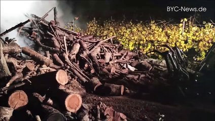 Feuerwehreinsatz und Vollsperrung zwischen Ingelheim und Wackernheim