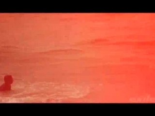 Brandon Sears Exile skimboards