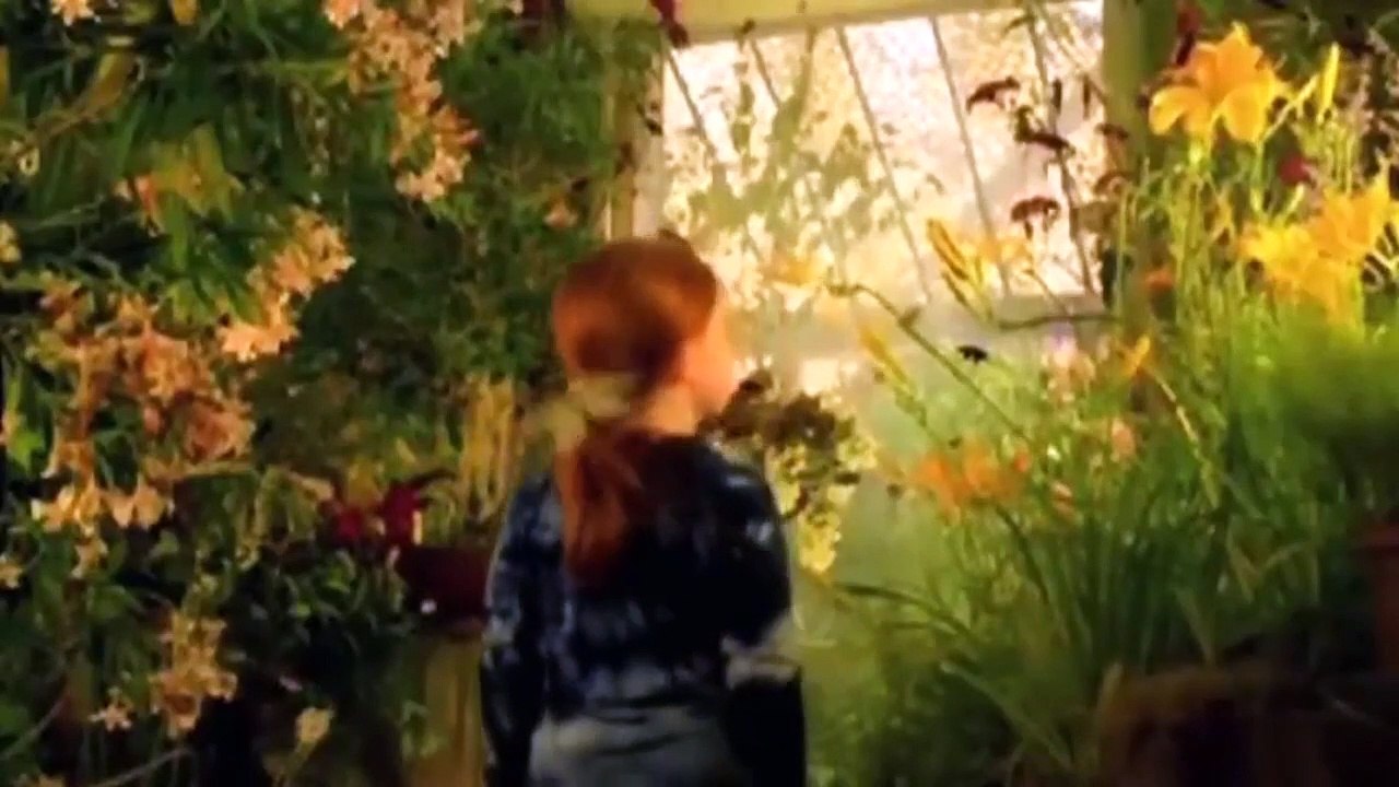 Le papillon (2002) - Bande annonce