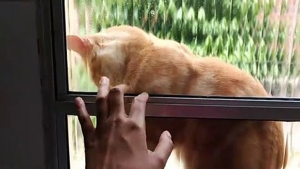 Segunda feira de casa limpa ,limpeza motivacional ❤