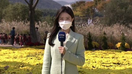 [날씨] 완연한 가을...국화향 가득한 울산 국가정원 / YTN