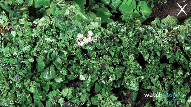 ¡Top 10 Descubrimientos Científicos ACCIDENTALES!