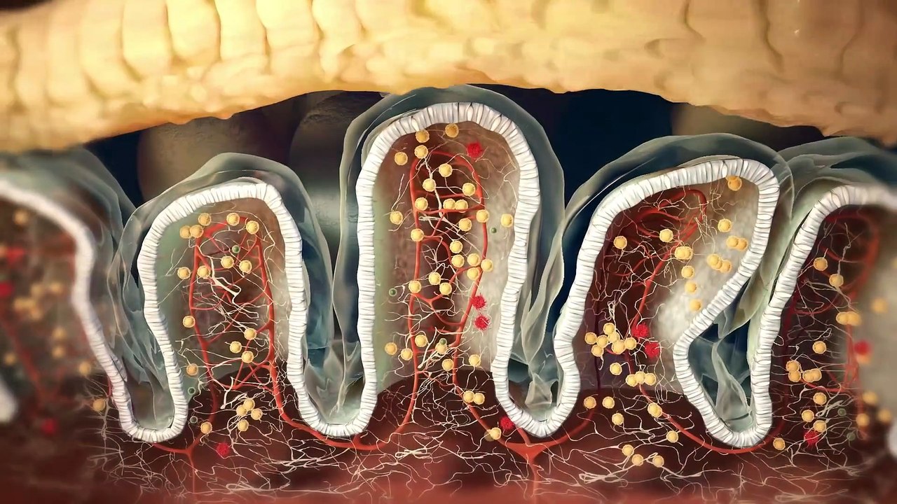 Nucleus - Custom Medical Animations