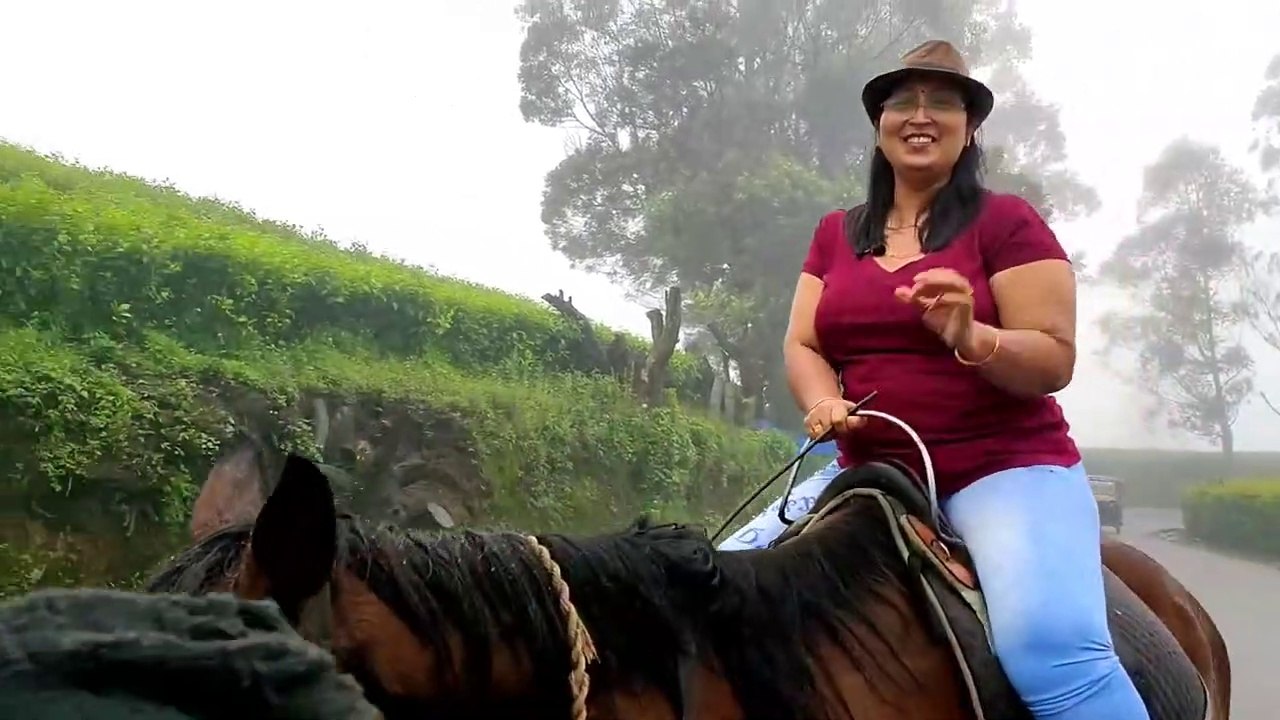 Big Fat Indian Horse Rider