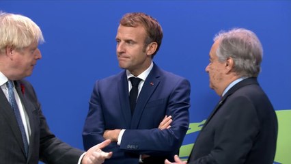 Cien líderes mundiales se comprometen a revertir la deforestación para 2030