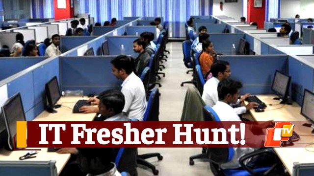 Great Indian IT Fresher Hunt: What TCS, Infosys, Wipro, HCL Have Said So Far