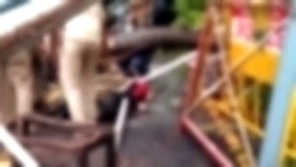 சென்னை தலைமைச் செயலகத்தில் வேரோடு மரம் சாய்ந்து விழுந்து விபத்து - பெண் காவலர் பலி