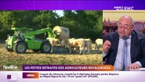 L’info éco/conso du jour d’Emmanuel Lechypre : Les petites retraites des agriculteurs revalorisées - 02/11