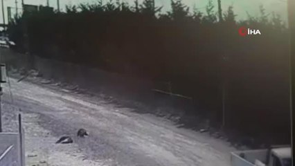 Büyükçekmece'de hurda hırsızları yakalandı