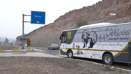 Vetbüs ile sokak hayvanları daha sağlıklı