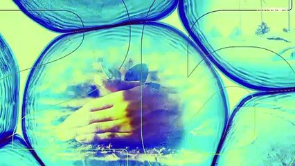 Canicules : quel est le seuil de danger pour la santé humaine ?