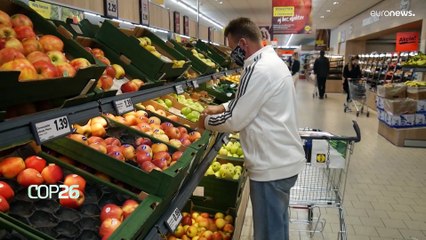 Die Slowakei setzt auf Alternativen zu Plastik
