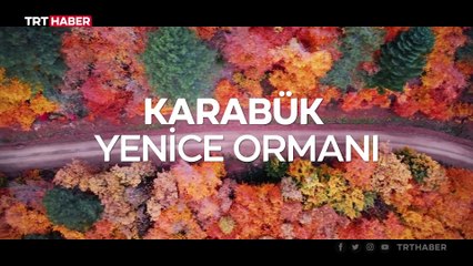 Türkiye'nin en büyük blok ormanlarında sonbahar
