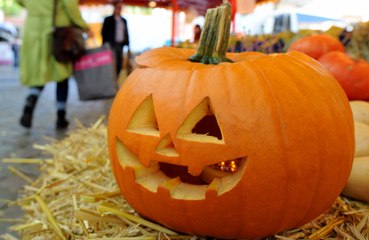 Italian farmer breaks heaviest pumpkin record
