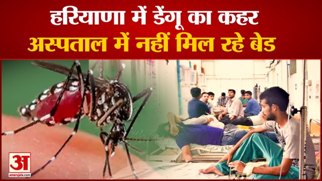 Dengue Is Not Stopping In Haryana| हरियाणा के इस जिले में डेंगू का कहर, नहीं मिल रहे बेड