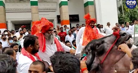 దున్నపోతు మీద ఎక్కి హల్ చల్ చేసి జగ్గారెడ్డి!!