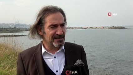 Karadeniz'de balık stoklarını tükettikleri iddiasıyla suçlanan yunus ve köpek balıkları aklandı