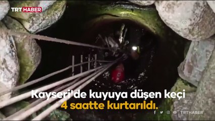 Kuyuya düşen keçi 4 saatte kurtarıldı