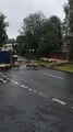 Sheep 'seriously injured' after livestock trailer overturns in Alton