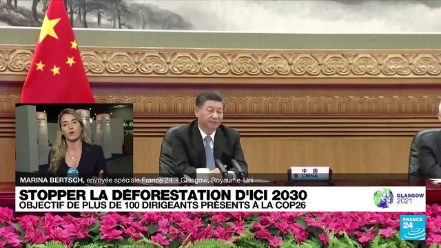 COP26 : l'objectif crucial de stopper la déforestation d'ici à 2030