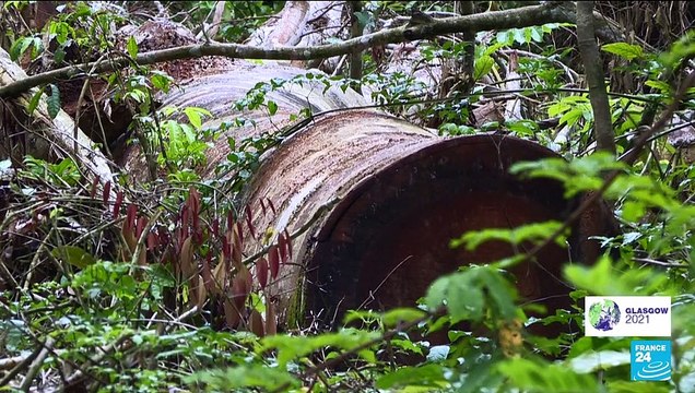 COP26 : un engagement sur la déforestation dès l'ouverture de la conférence