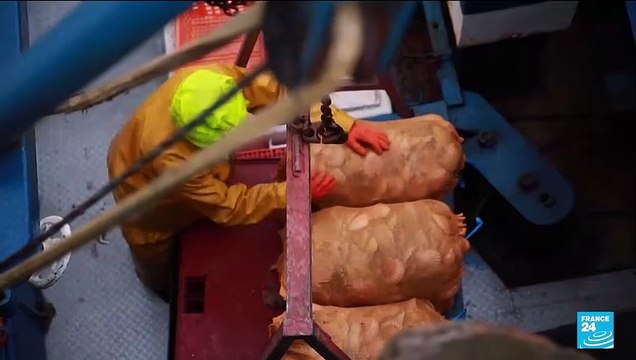 Crise de la pêche : Paris lâche du lest et reporte ses sanctions contre Londres