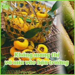 8 điều cấm kỵ sao Việt nào cũng phải thuộc lòng nếu muốn nổi tiếng | Điện Ảnh Net