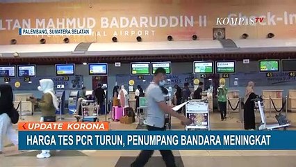 Harga PCR Turun, Penumpang Bandara Sultan Mahmud Badaruddin II Meningkat
