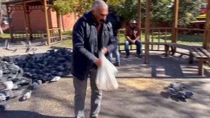 Vatandaşlar soğuktan etkilenen güvercinler için yem bıraktı