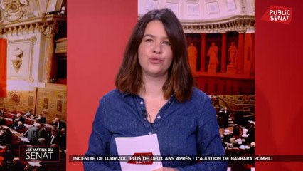 Conséquences de l'incendie de Lubrizol : l'audition de B.Pompili - Les matins du Sénat (02/11/2021)